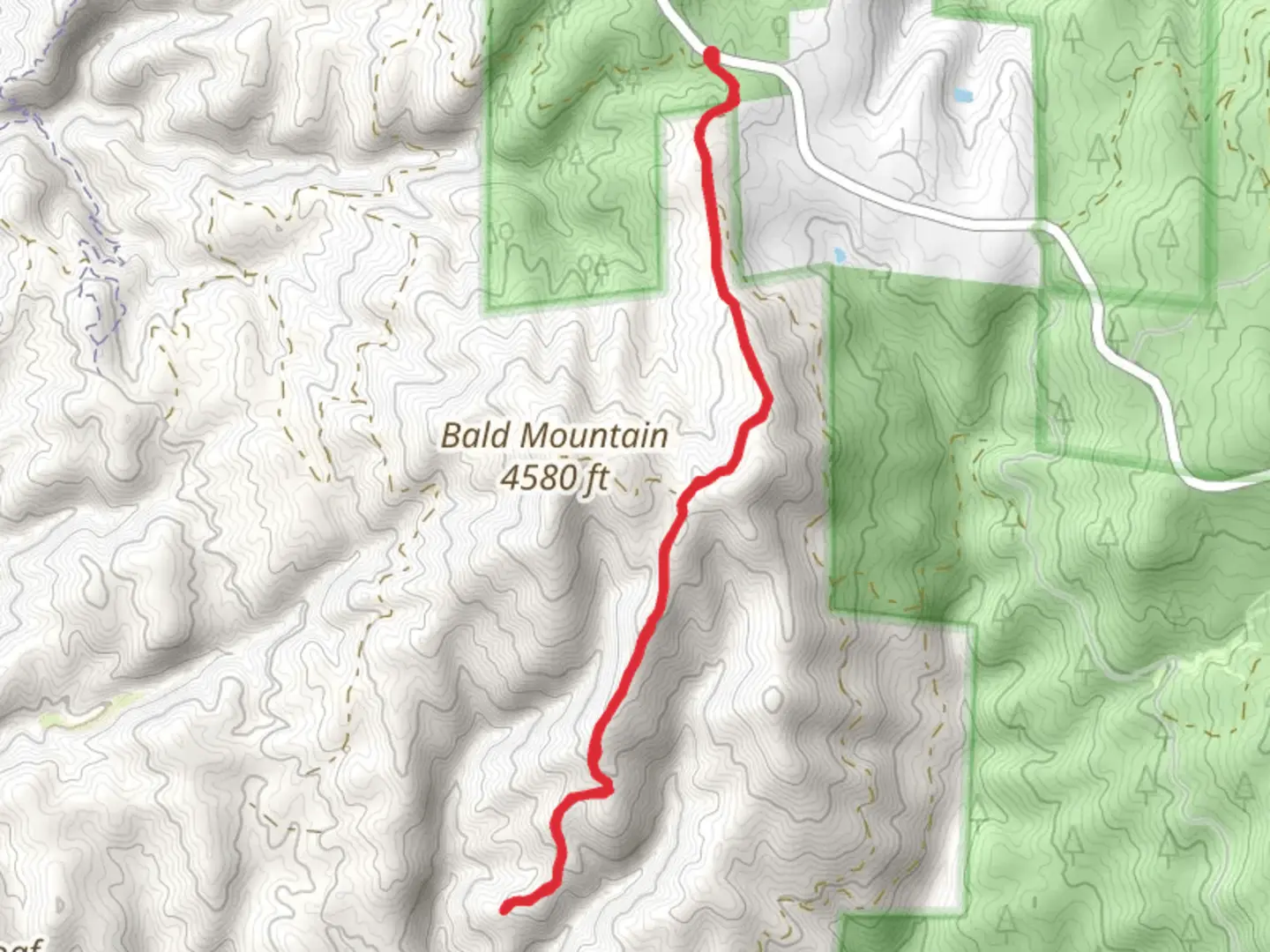 An image depicting the trail East Bald Mountain Trail and its surrounding area.