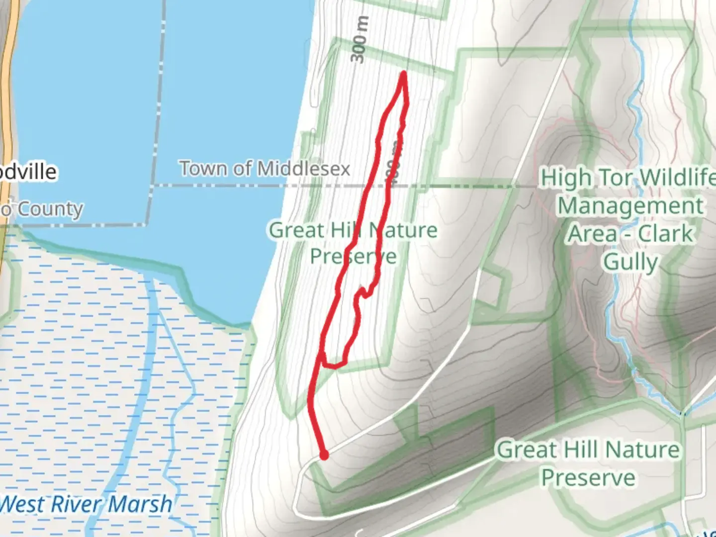 An image depicting the trail Sunnyside Point -South Hill Road Loop and its surrounding area.