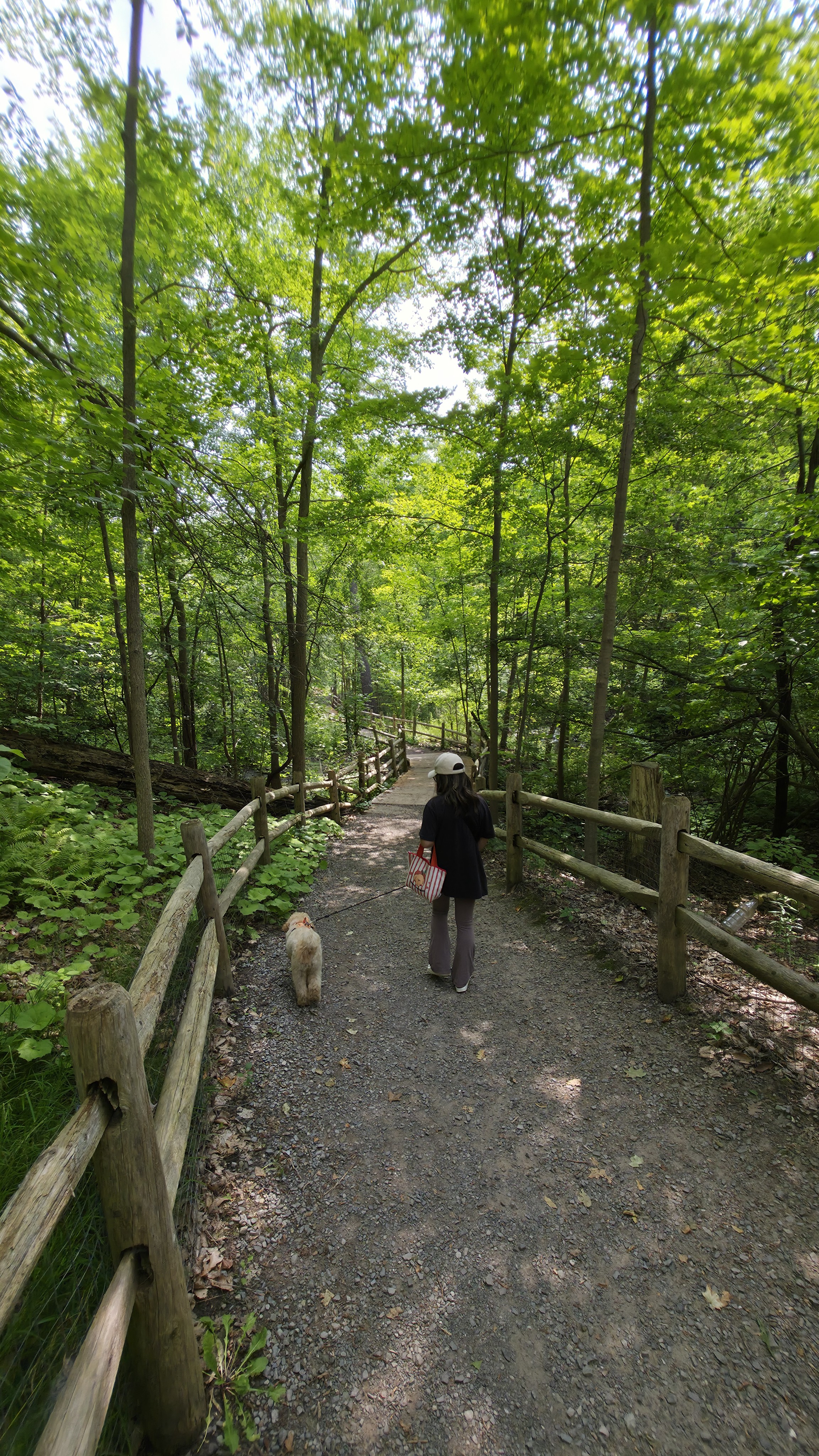 A map preview of the recording Sunnybrook Hospital Dog Park.