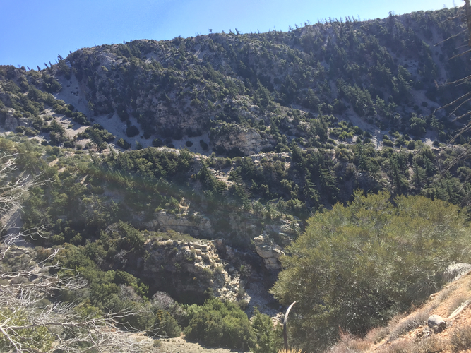 Windy Gap Trail