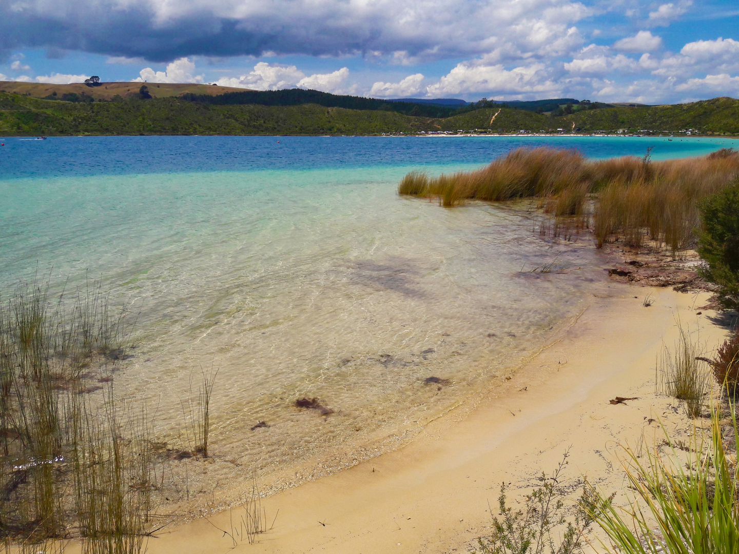 An image depicting the trail Lake Taharoa Track and its surrounding area.
