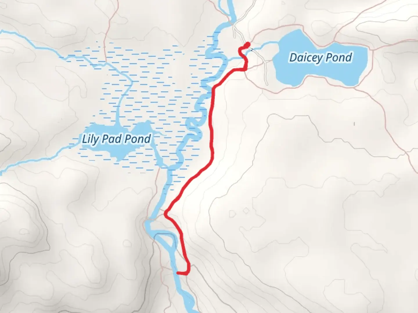An image depicting the trail Nesowadehunk Stream from Daicey Pond and its surrounding area.