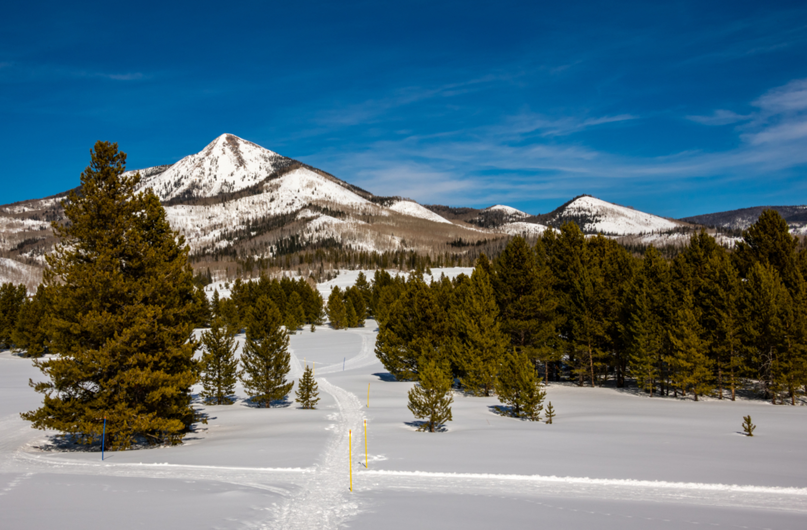 An image depicting the trail Ellis Trail and its surrounding area.