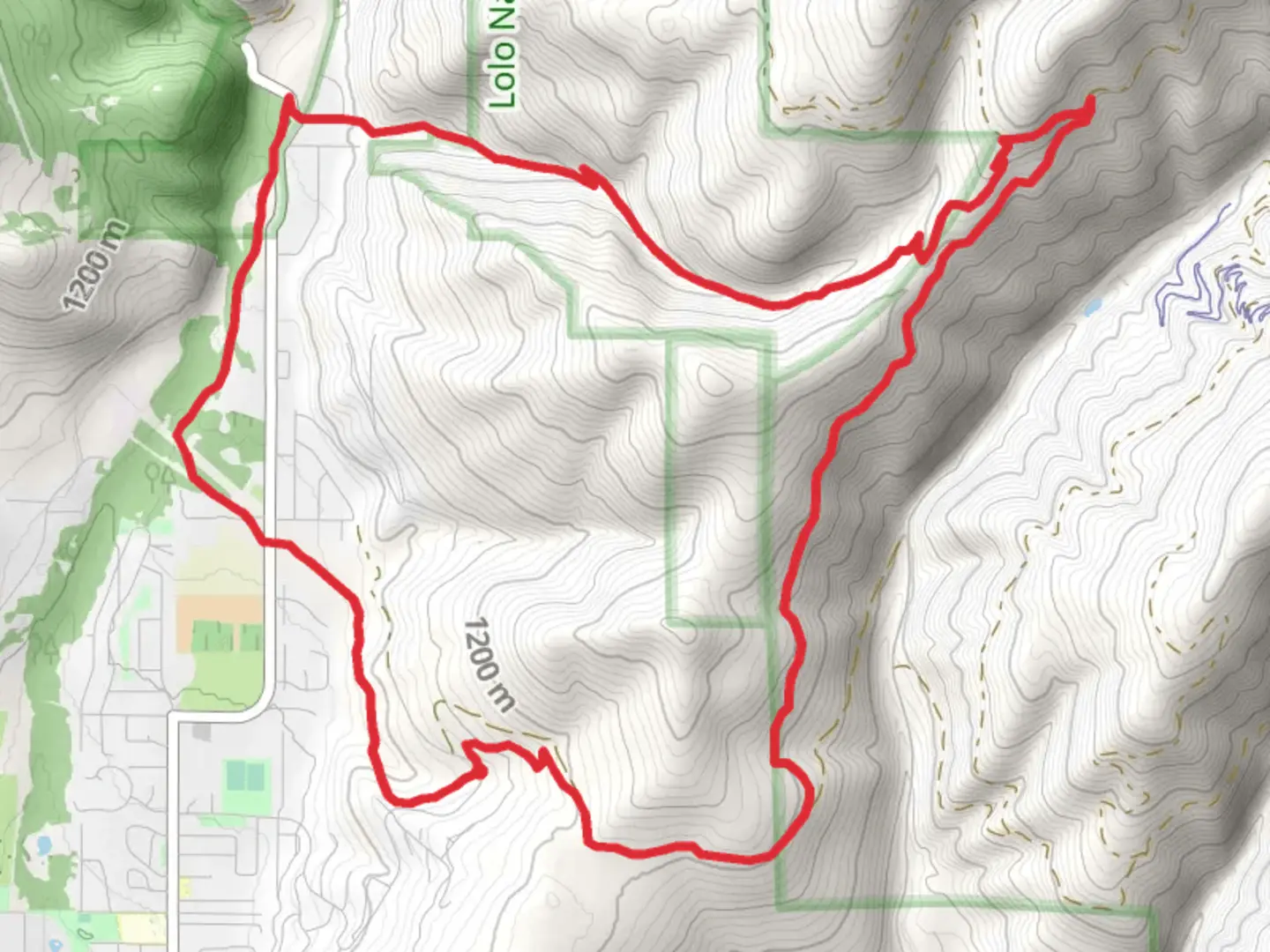 An image depicting the trail Woods Road and Woods Gulch Loop and its surrounding area.