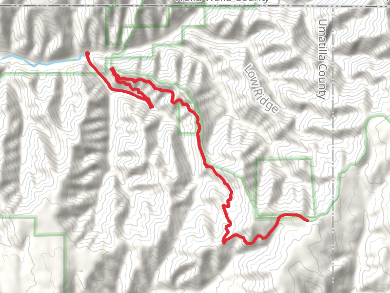 Tiger Canyon Road