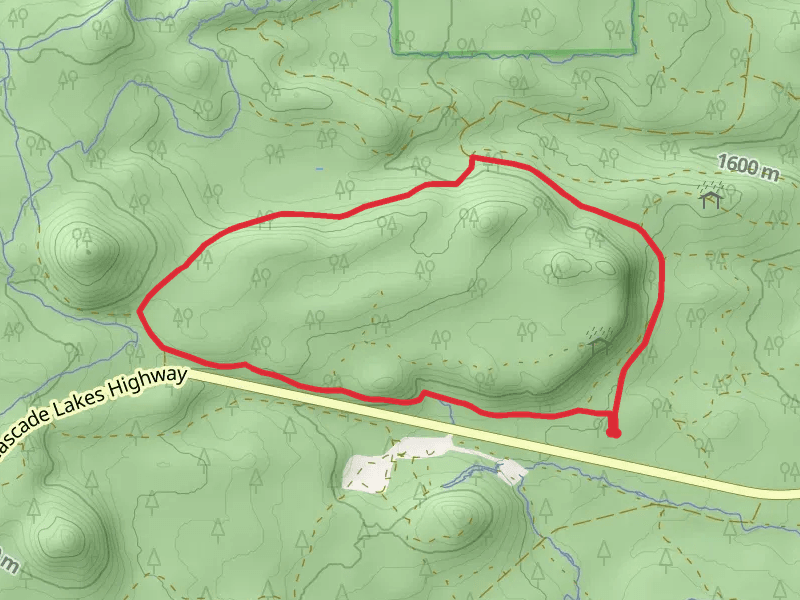 Swampy Snowshoe Loop