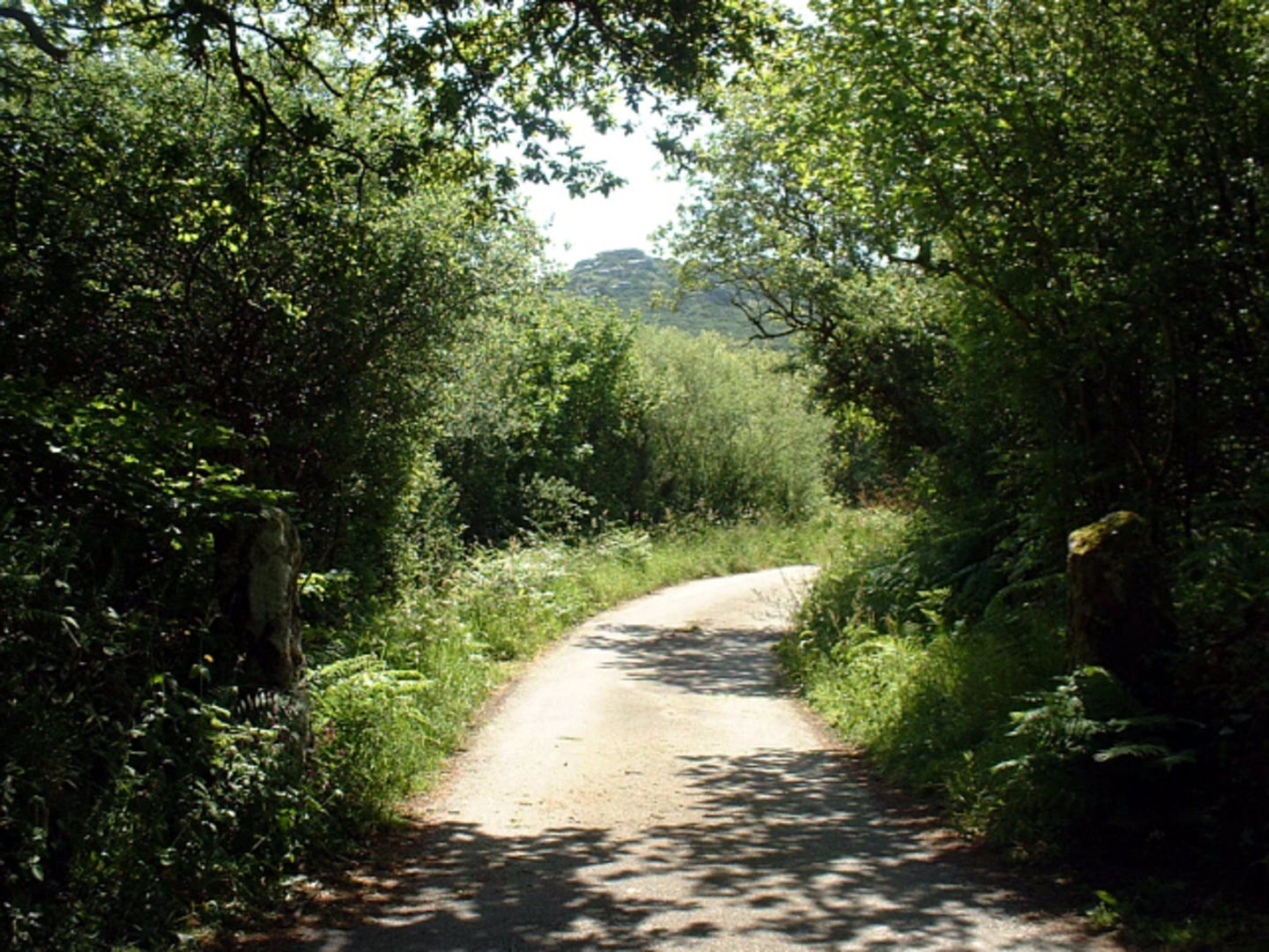 An image depicting the trail Helman Tor Loop and its surrounding area.