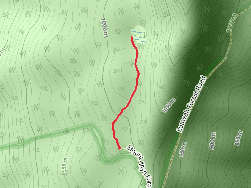 Burraga Swamp Track