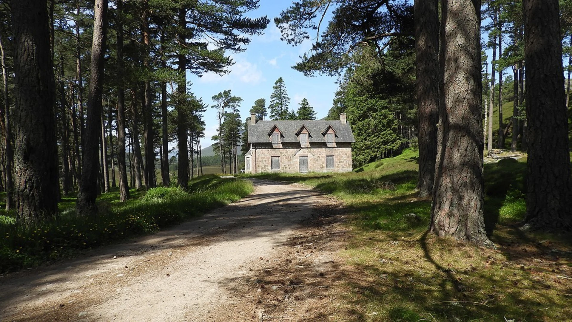 An image depicting the trail Carn a' Mhaim via Derry Lodge and its surrounding area.