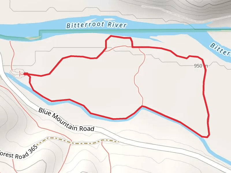 Maclay Flat Nature Loop Trail
