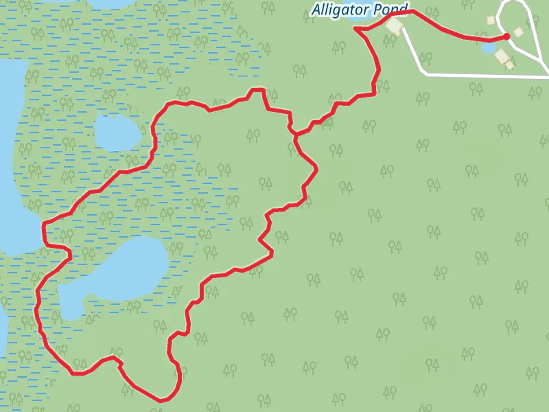 Loop around Alligator Pond