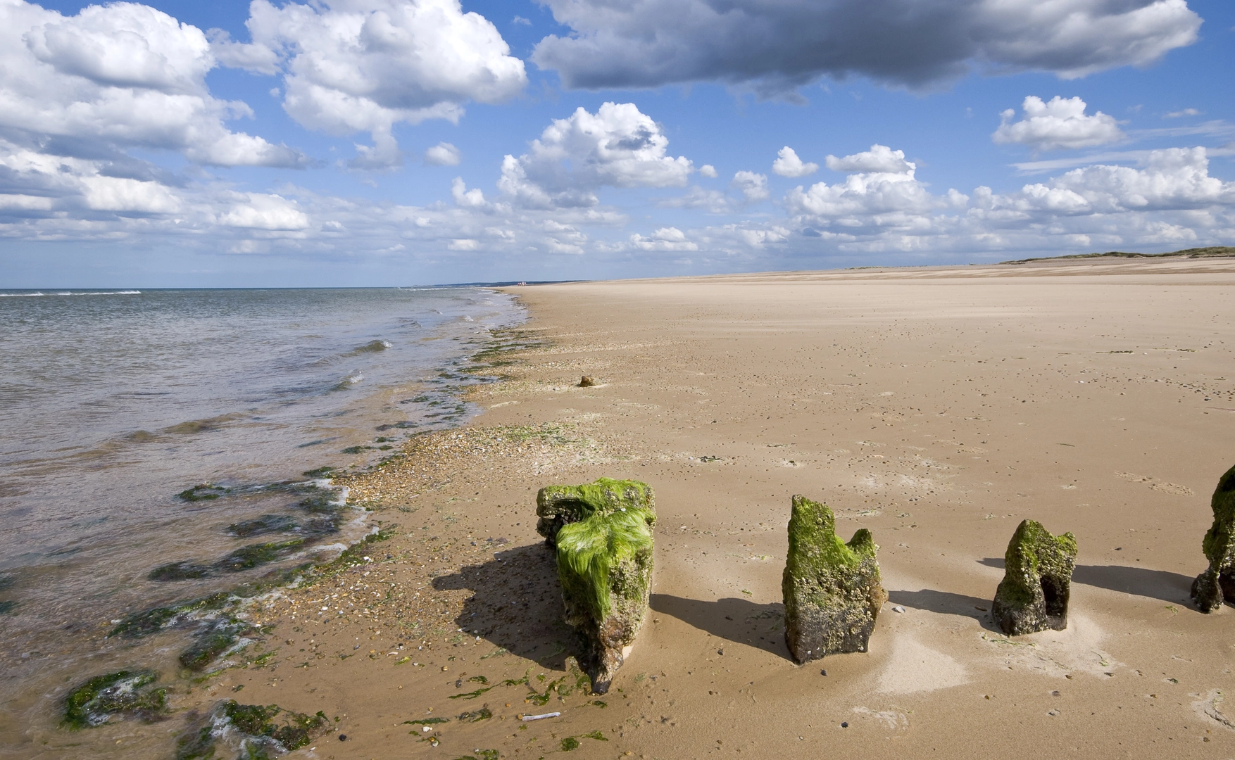 An image depicting the trail Blakeney Point Coastal Walk - Blakeney - Norfolk and its surrounding area.