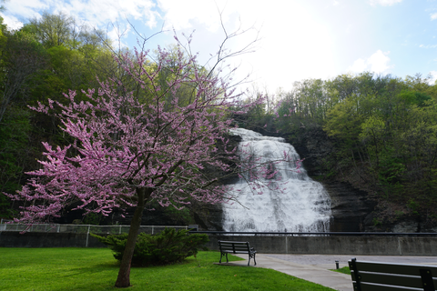 Shequaga Falls Park and Falls