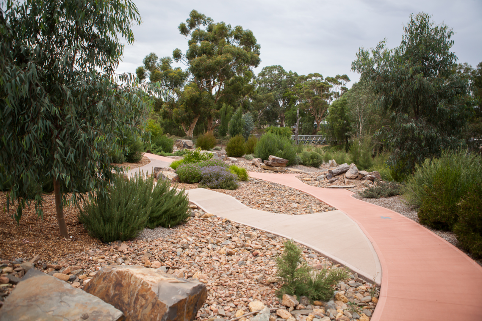 An image depicting the trail The Gawler Rivers Track and its surrounding area.