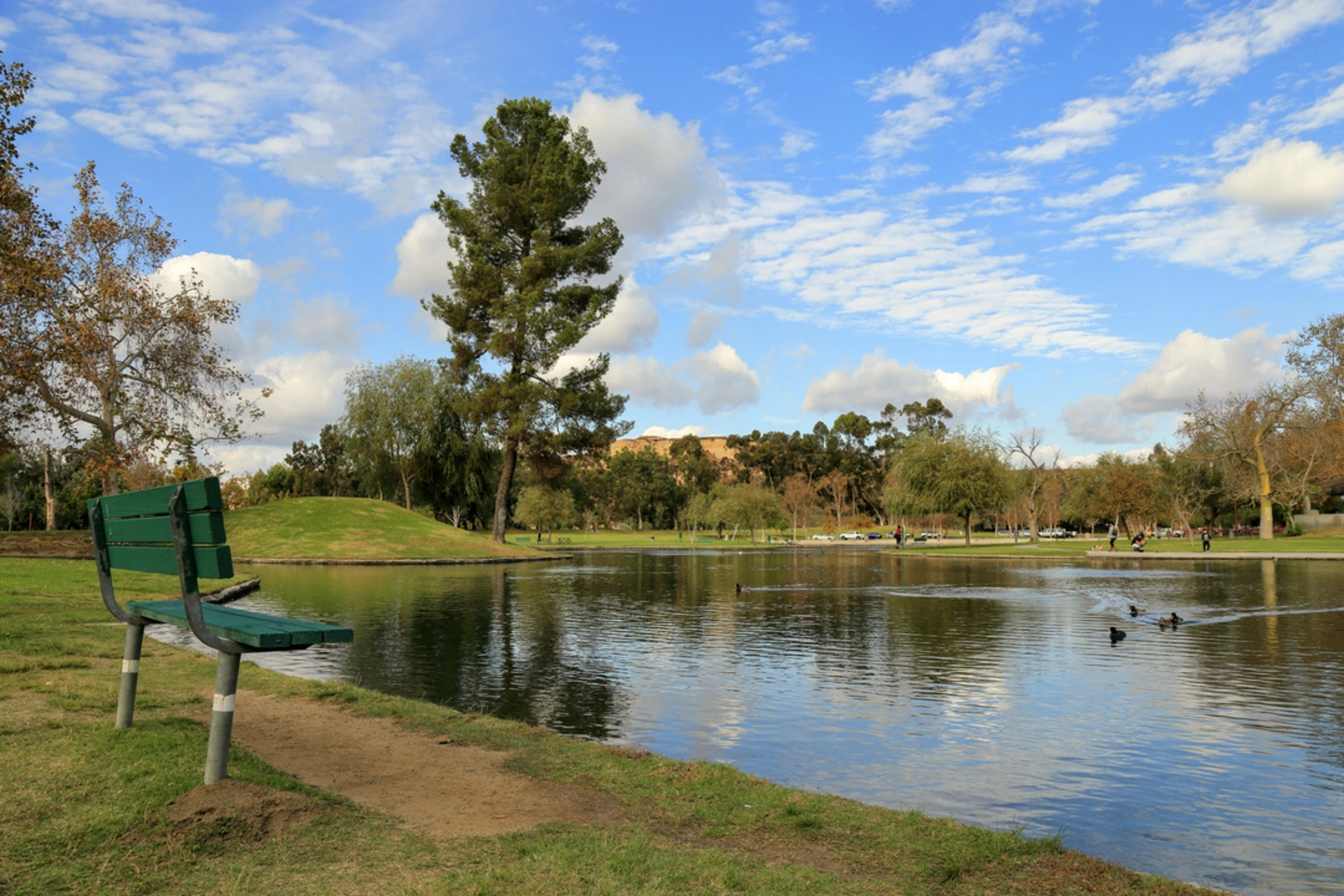 An image depicting the trail Ralph B Clark Regional Park Loop and its surrounding area.