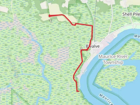 Walk to Fauler Island