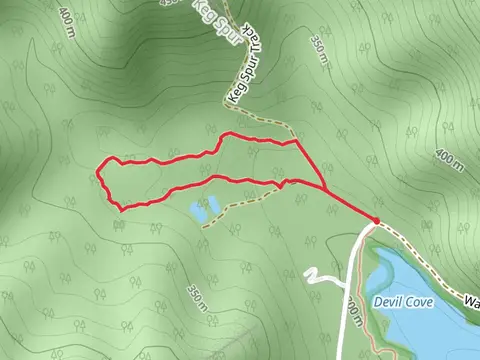 Perfect Cure Creek Nature Trail
