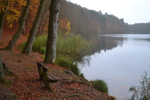 Drüsensee, Lütauer See, Schmalsee and Lottsee Scenic Loop