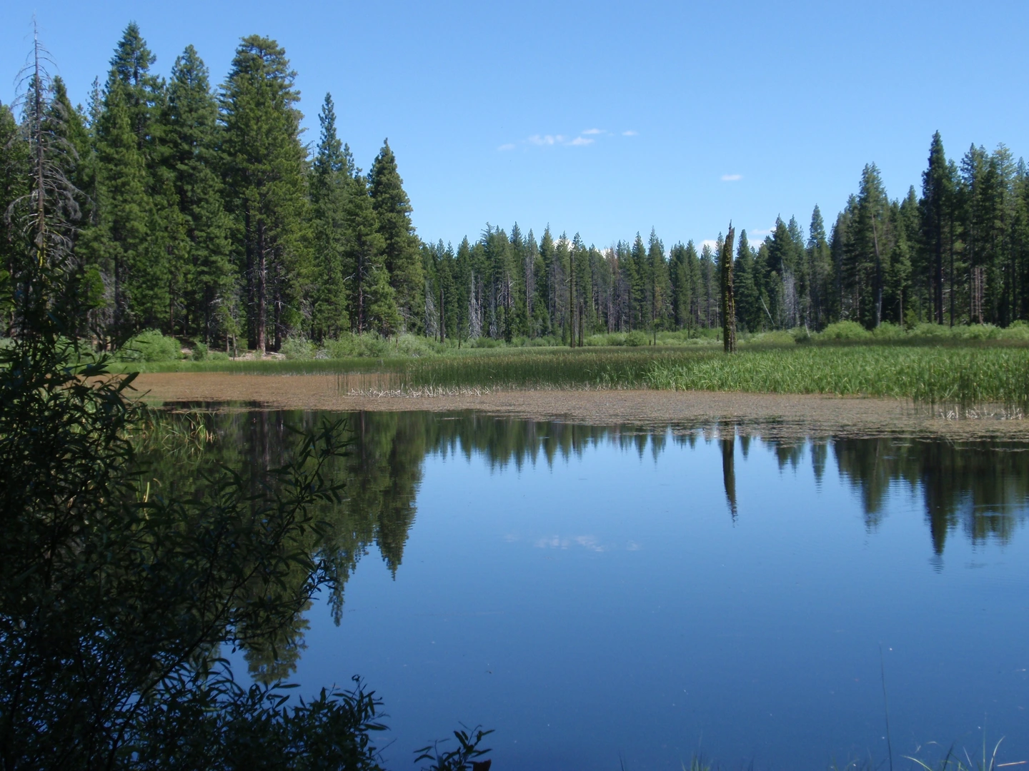 An image depicting the trail Madora Lake Loop Trail and its surrounding area.