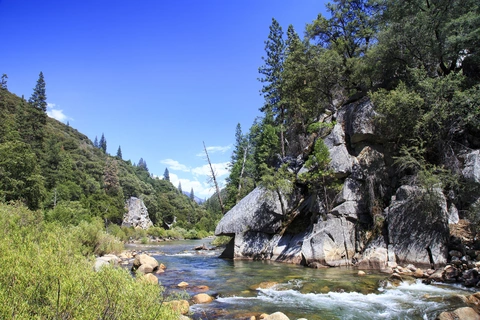 Los Pinetos Trail