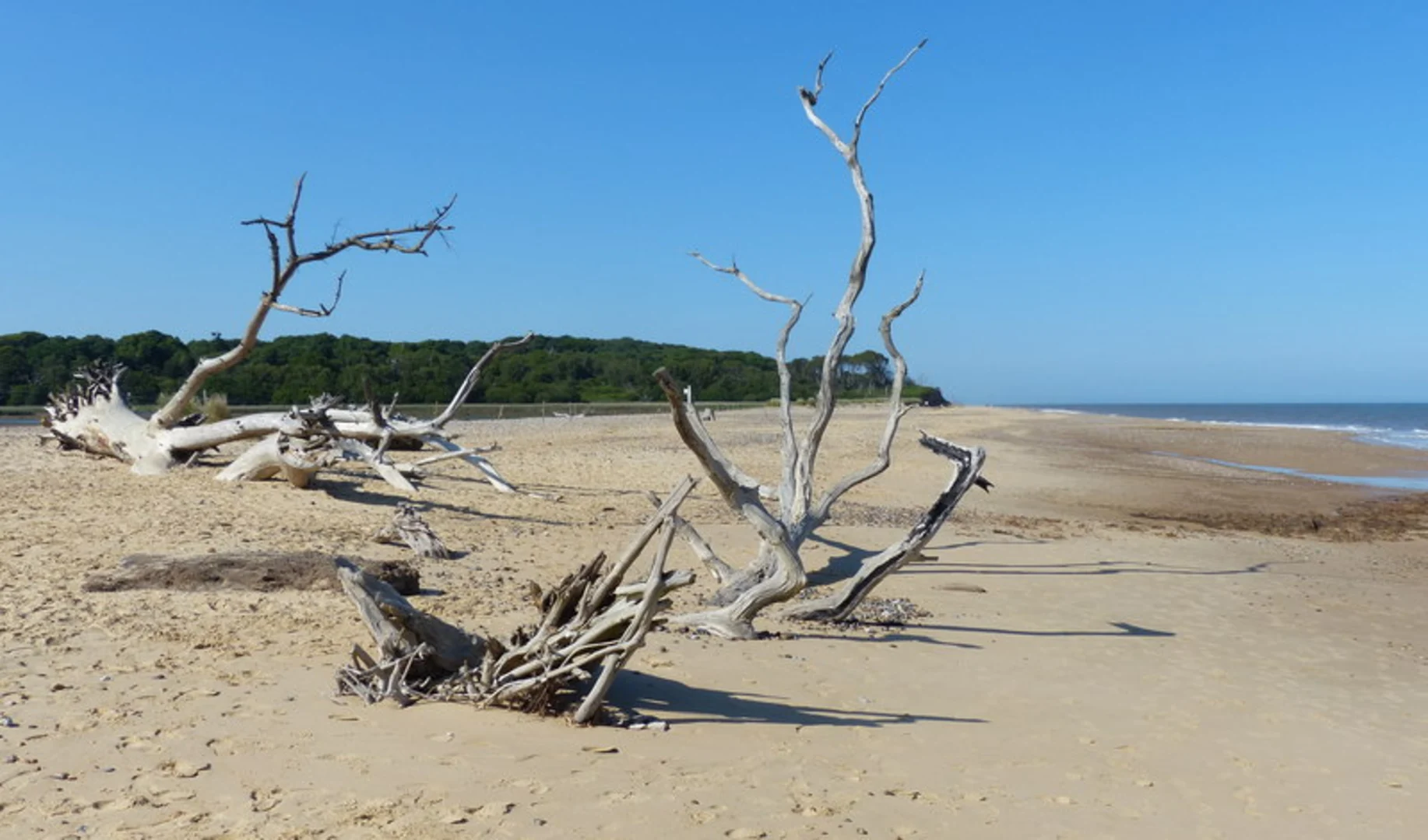 An image depicting the trail Benacre National Nature Reserve Walk and its surrounding area.
