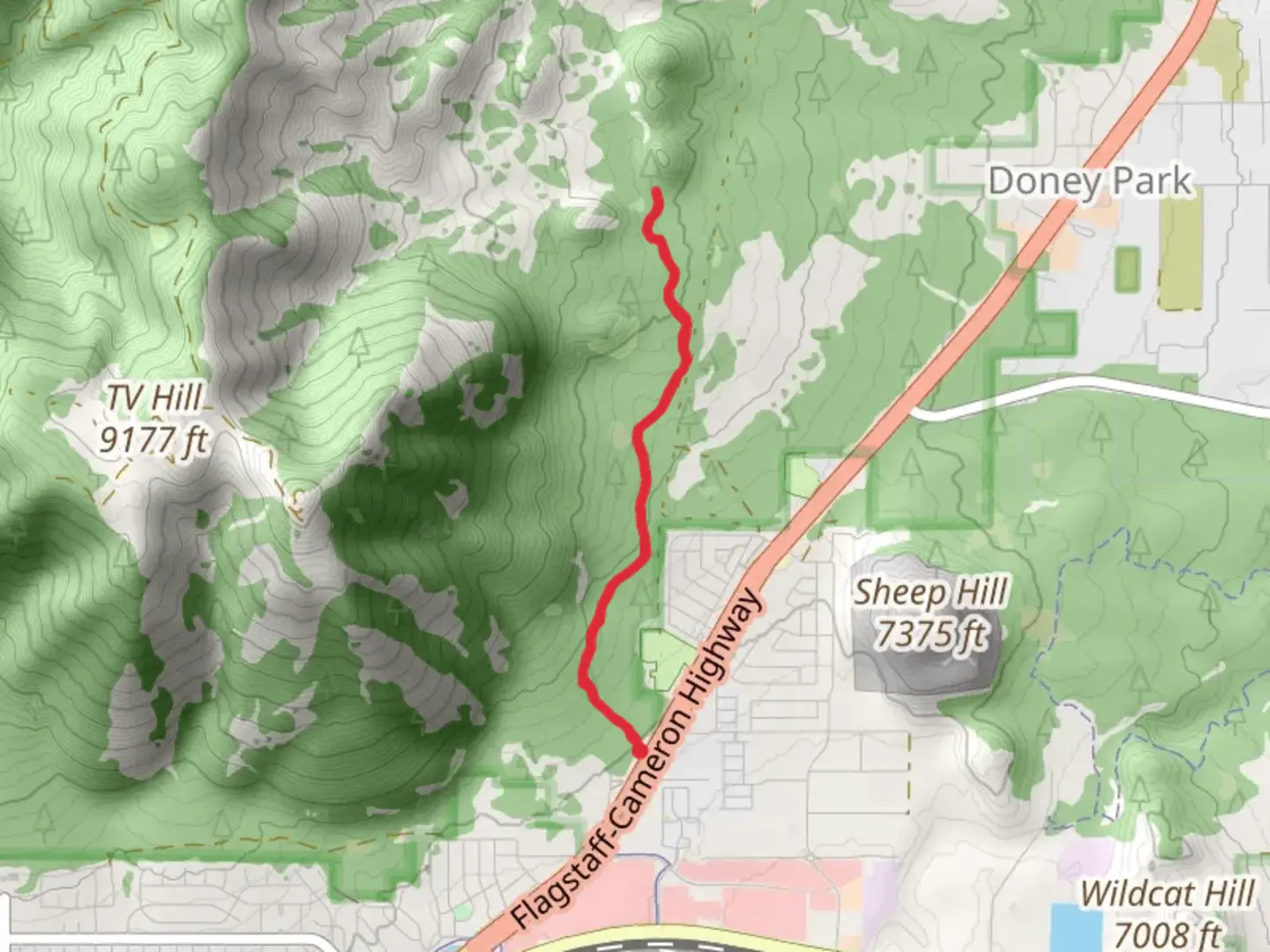 An image depicting the trail Christmas Tree Trail and its surrounding area.
