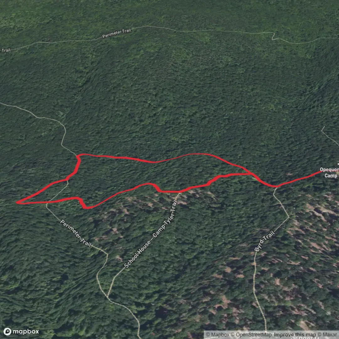 An image depicting the trail Langdon Loop and its surrounding area.