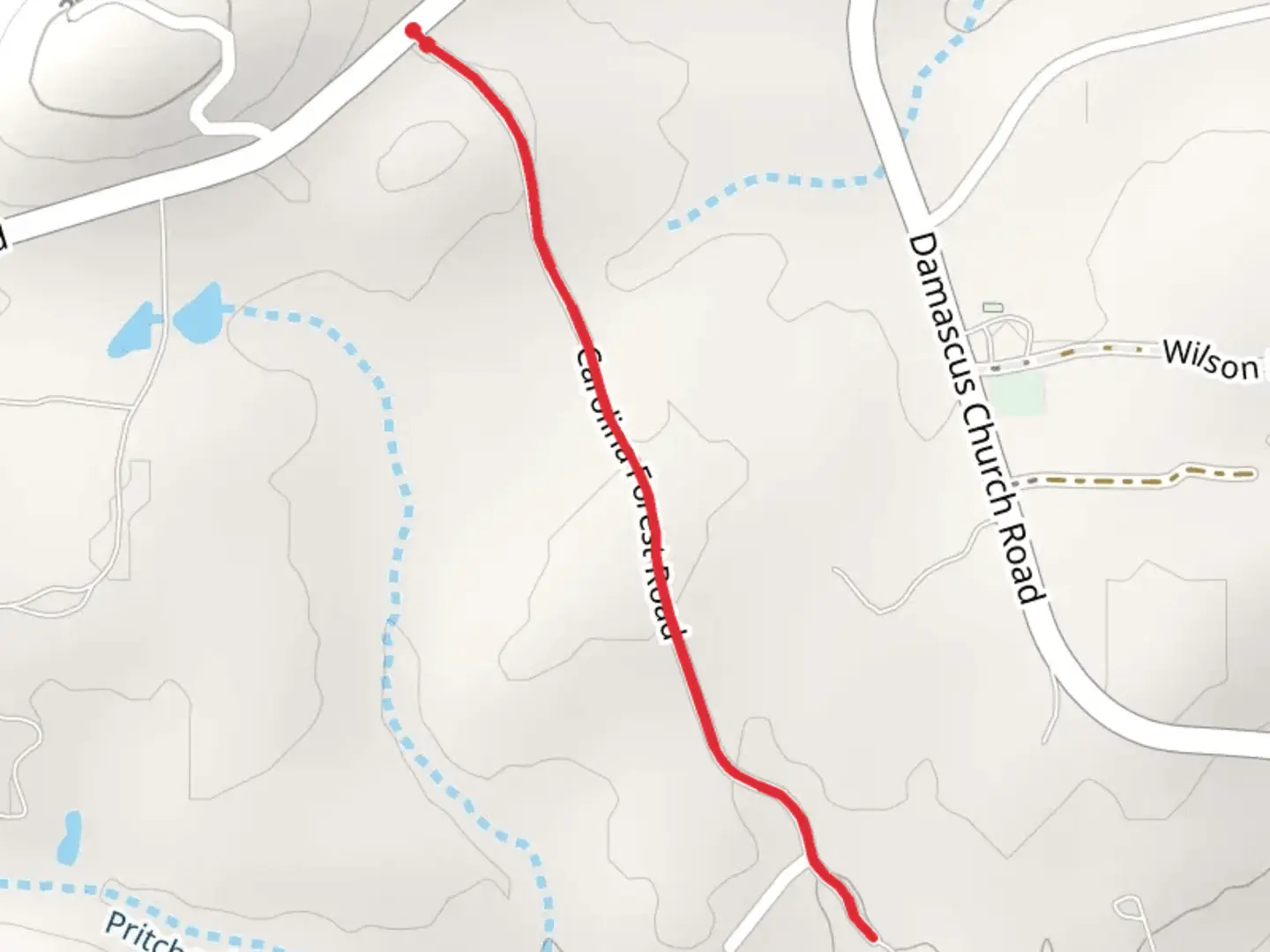 An image depicting the trail Carolina Forest Road and its surrounding area.