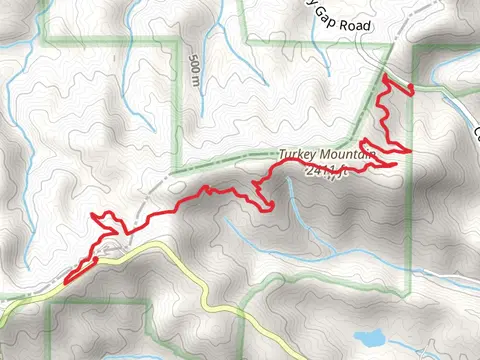 Pinhoti Trail from Conasauga Road
