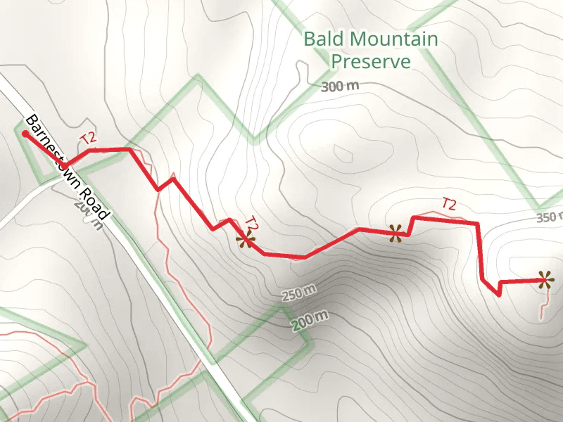 Bald Mountain