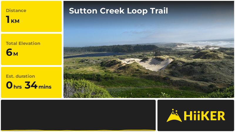 Sutton Creek Loop Trail | Lane County | Oregon