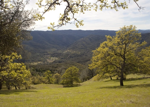 Connector Trail Between Judge Davis and Cache Creek Ridge Loop