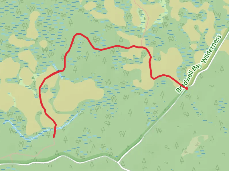 Monkey Creek via Florida Trail
