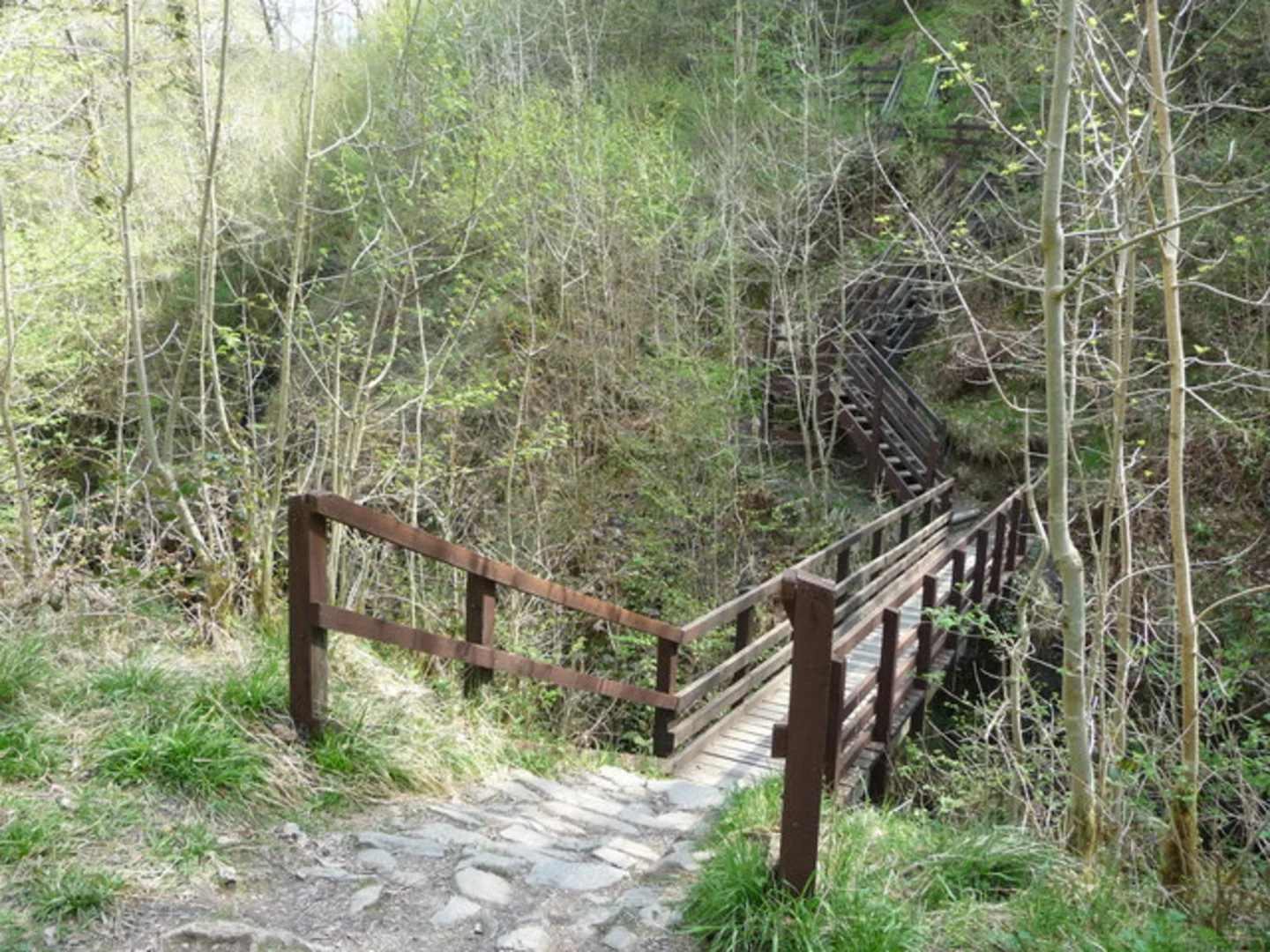 An image depicting the trail Henrhyd Falls Walk and its surrounding area.