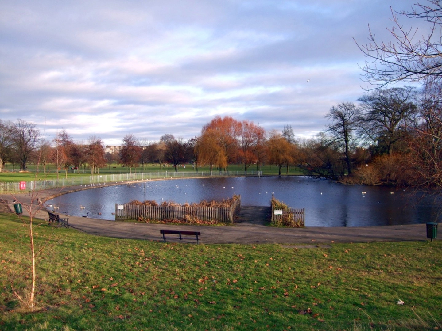 An image depicting the trail Clapham Common and its surrounding area.