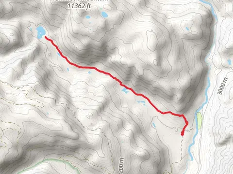 Lake Fork Trail