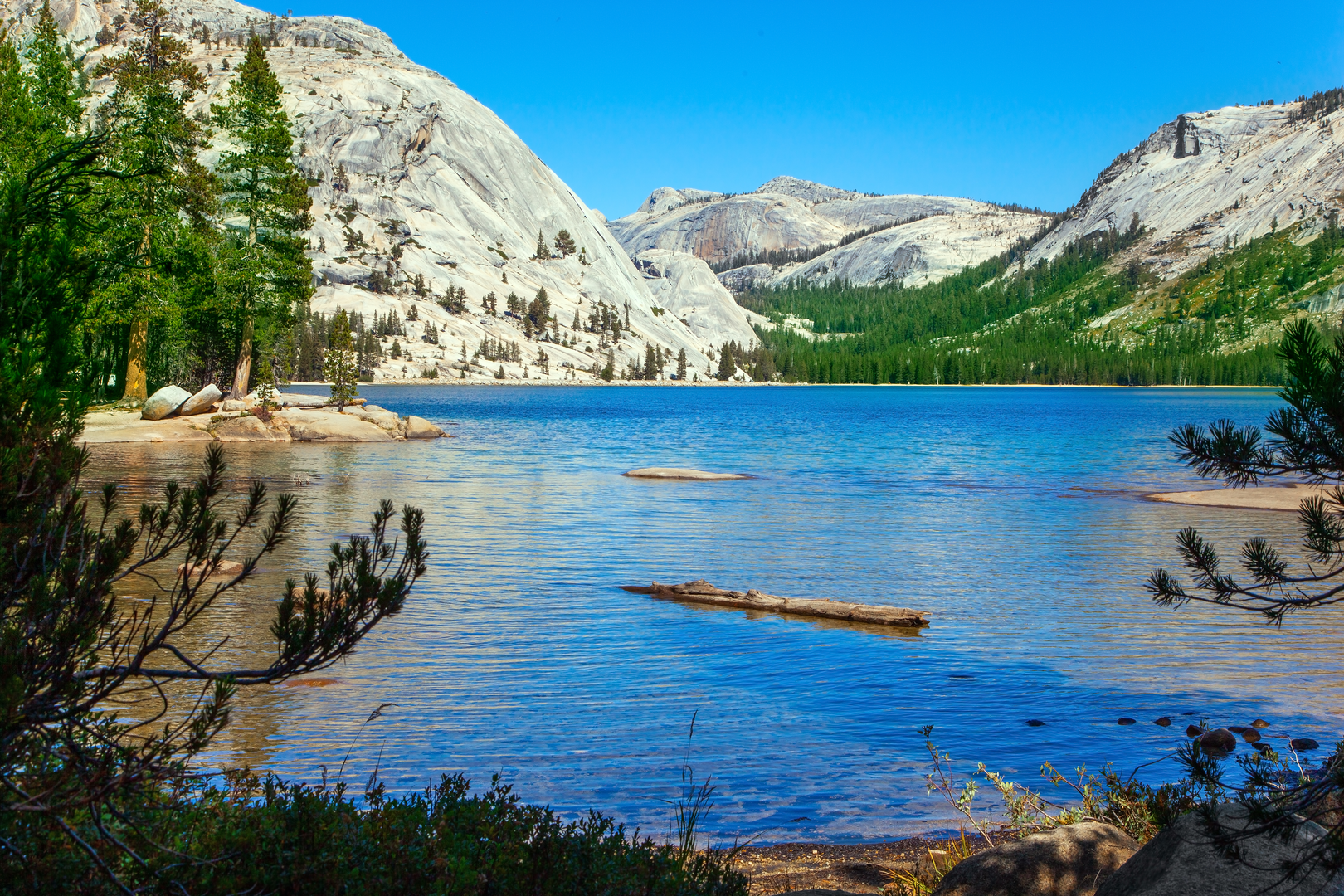 An image depicting the trail May Lake from Tioga Pass Road and its surrounding area.