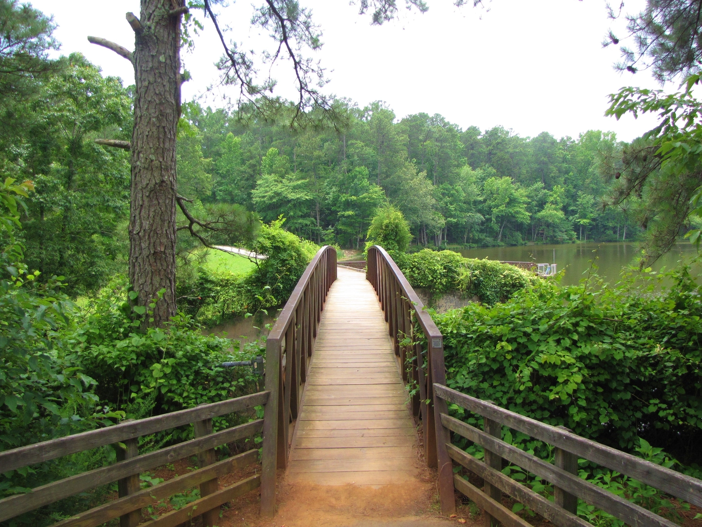 An image depicting the trail Inspiration Loop Trail and its surrounding area.