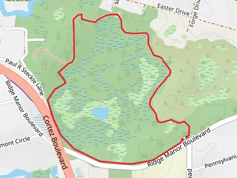Cypress Lake Loop