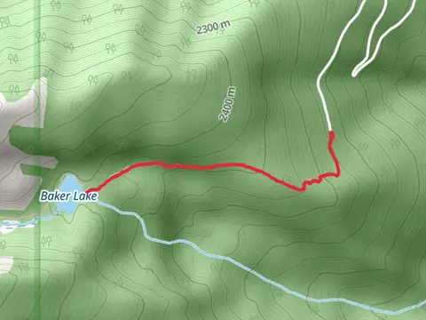 Baker Lake Trail