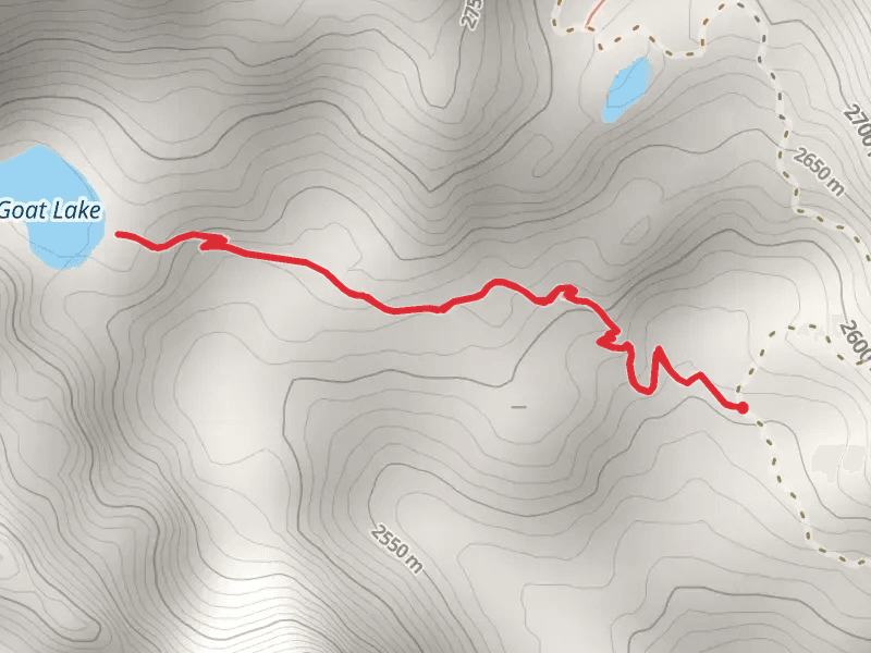 Goat Lake Trail