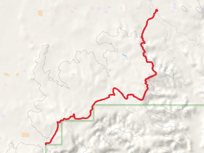 Wolf Trail