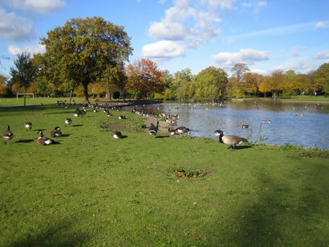 Highwood Local Nature Reserve and South Lake Park Loop