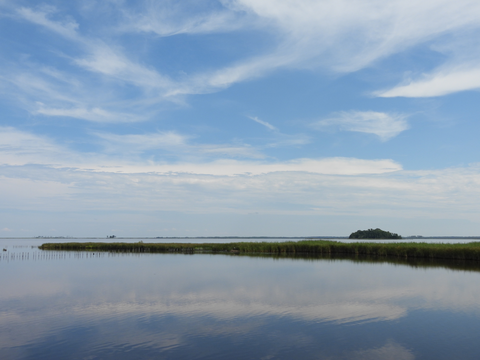 Blackwater River via Marsh Edge Trail and Woods Trail