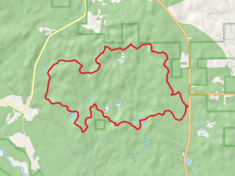 Hoist Lake Loop Trails