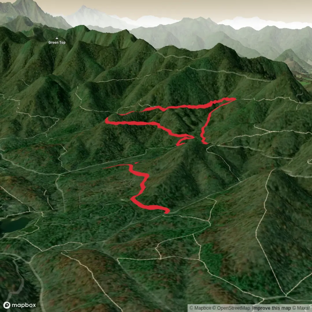 An image depicting the trail Boyd Branch Circular and its surrounding area.