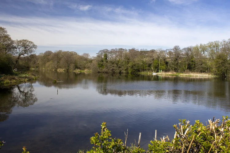 Lower Bitell Reservoir, Upper Bittell Reservoir and Barnt Green Country Park Loop