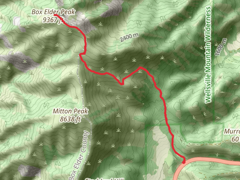 Box Elder Peak via Rattlesnake Canyon Trail