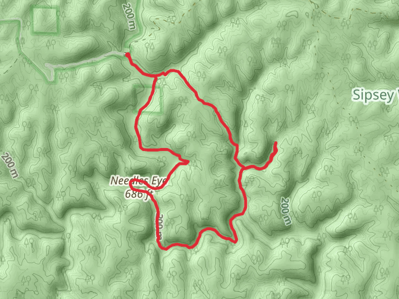 Thompson Creek Wild Hiking and East Bee Branch Canyon Loop Trail