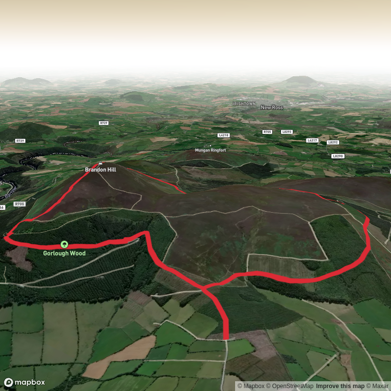 Brandonhill Circular